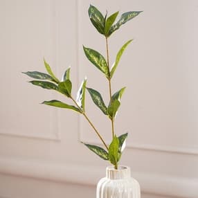 pure home and living Draceana Leaf Spray-picture-25