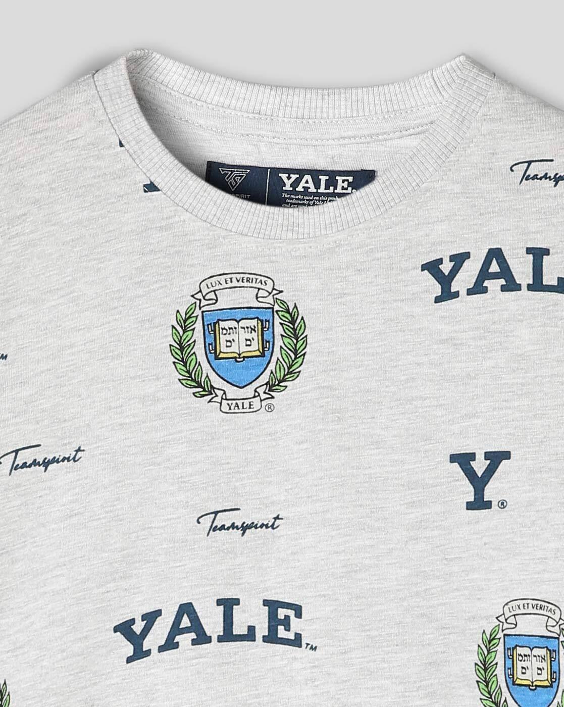 Yale Lux Et popular Veritas