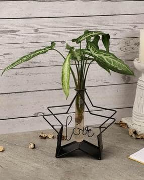 the decor mart Love Testube Planter-picture-33