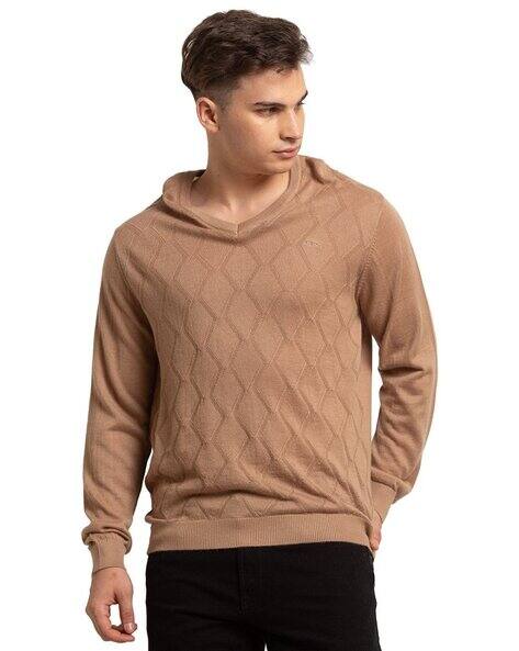Colorplus Men Textured Tailored Fit V-Neck Pullover
