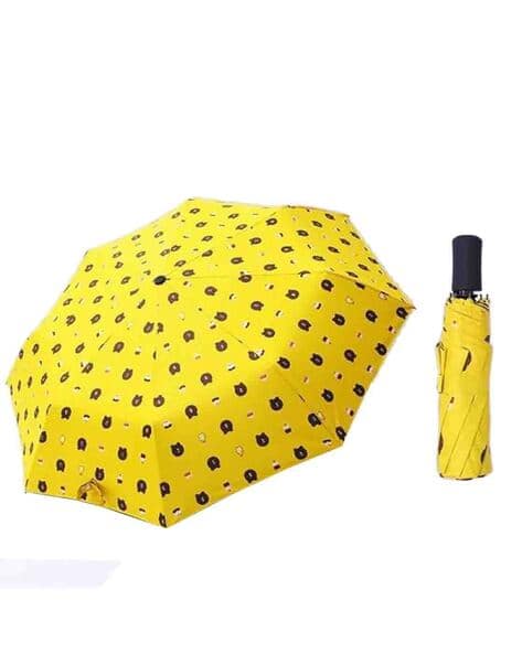 Pack Of Graphic Print Umbrella