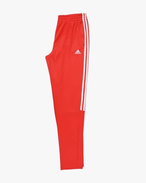Red Tiro 19 Training Pants Adidas Men's Tiro 19 Training Track Pant