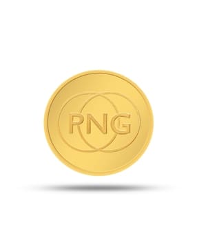 p n gadgil jewellers 5G 24 KT(995) Yellow Gold PNG Coin-picture-11