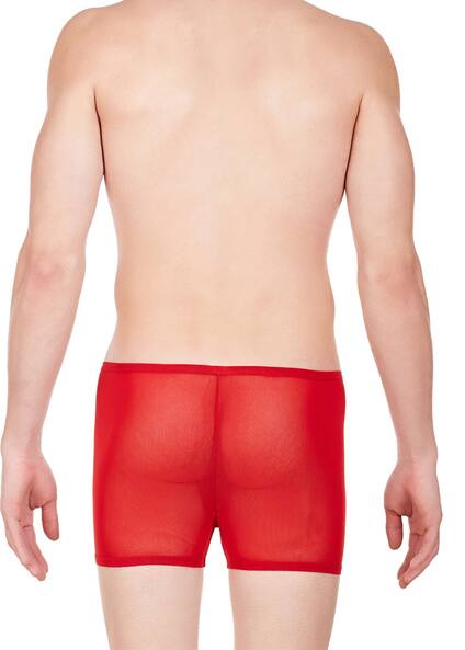 Sheer Boxer Briefs Buy Red Briefs For Men By LA INTIMO Online