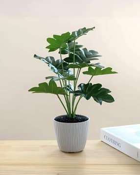 umai Artificial Plant with Pot-picture-49