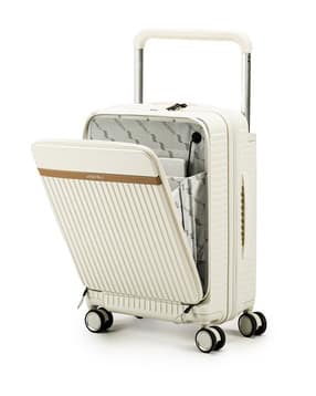 assembly Men Striped Trolley Bag with TSA Lock-picture-17