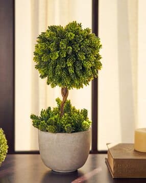 pure home and living Faux Pineapple Grass Plant with Pot-picture-40