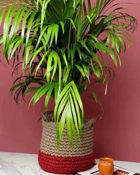 Handmade Biodegrable Eco-Friendly Planters Basket-image-11