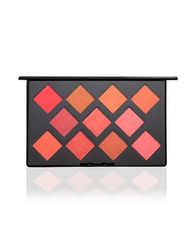 pac Take Cover Blusher - X11 Shade-picture-34