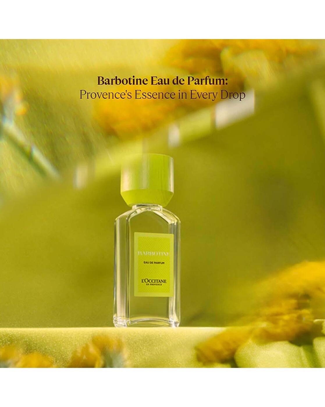 Buy L'Occitane Barbotine Eau De Parfume Online | Ajio.com