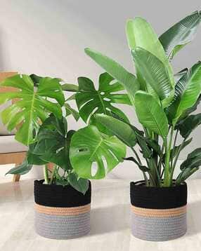 textile and beyond Set of 2 Rope Basket Wall Hanging Pots-picture-52