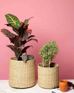 habere india Set of 2 Handmade Biodegrable Eco Friendly Planters Baskets-picture-12