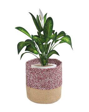 lavichitra Set of 3 Braided Cotton Planter Baskets-picture-19