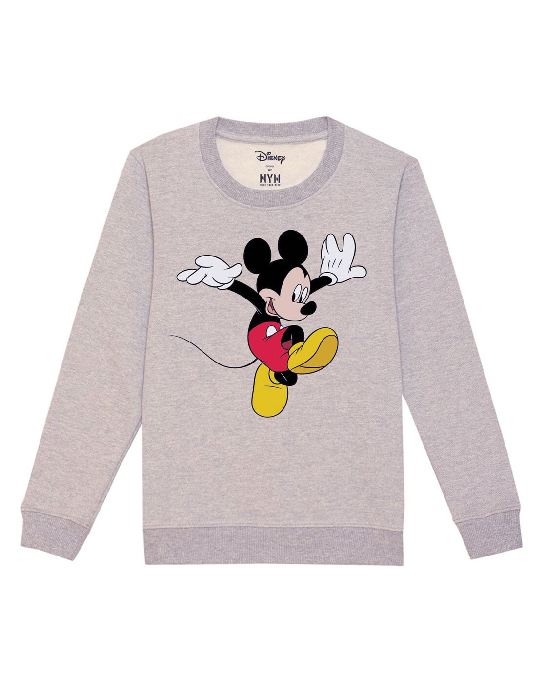 Buy Grey Sweatshirts Hoodie for Boys by Disney by Wear Your Mind Online Ajio