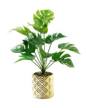 umai Artificial Plants with Electroplated Cement Pot-picture-17