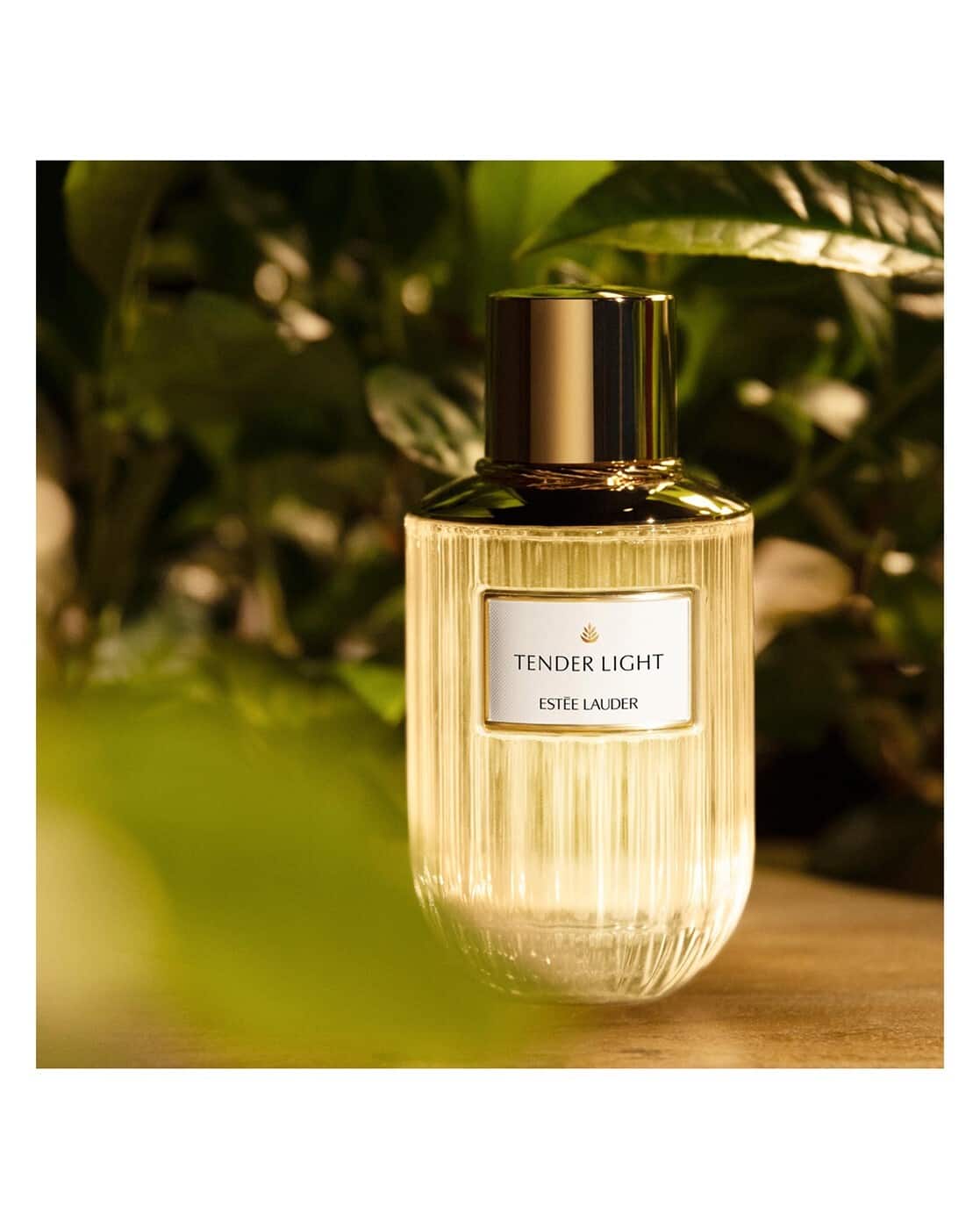 Buy na Perfumes & Colognes for Women by Estee Lauder Online | Ajio.com
