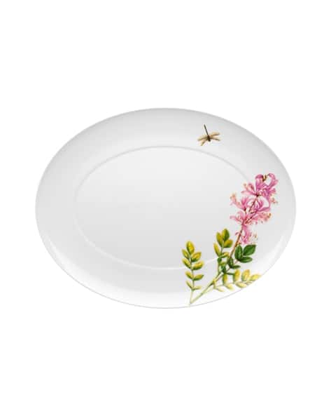 Buy White Serveware Drinkware for Home Kitchen by Vista Alegre