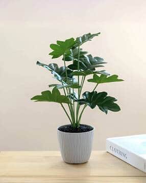 the better home Long Lasting Artificial Plants with Pot-picture-24