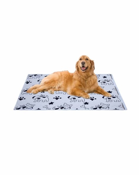 AAZEEM Printed Anti-Spill Rectangle Pet Mat