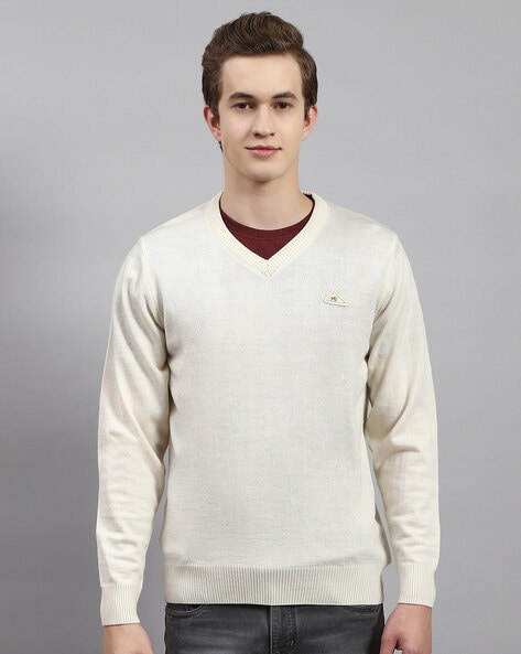 Men Regular Fit V-Neck Pullover