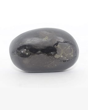 Shaligram Stone Lakshmi-Narsimha