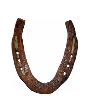 navyaksh Orginal Black Horse Protect Bad Eyes & Vastu Dosh Showpiece-picture-47