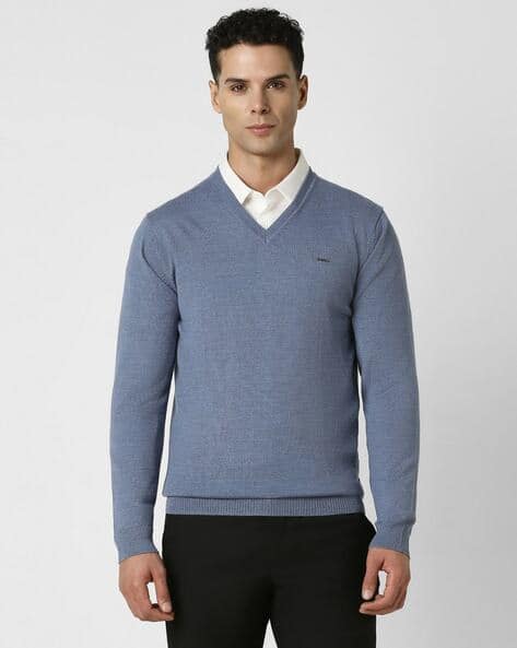 Men Textured Regular Fit Pullover with V-Neck