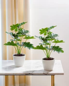 the better home Set of 2 Artificial Plants with Pot-picture-32