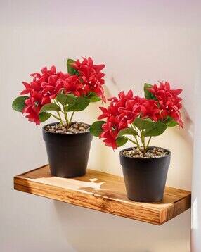 Set of 2 Plastic Plant with Pot-image-28