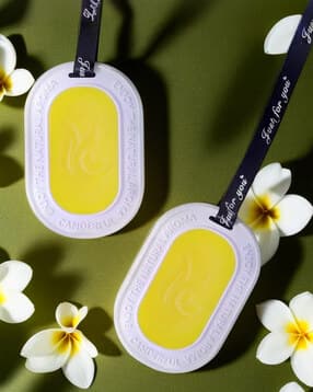 the better home Set of 2 Lemon Zest Wardrobe Air Fresheners-picture-27