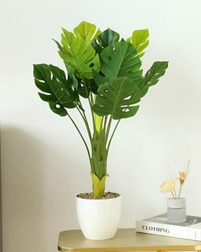 umai Artificial Plant with Pot-picture-28
