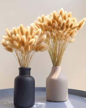 homesake 60pcs Bunny Tails Dried Flower,Dried Pampas Bouquet,Boho Decor,White Grass Small,Decor,Natural-picture-40