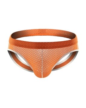 panteazy Polyester Regular Briefs-picture-40