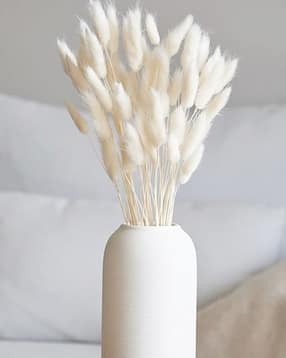 homesake Dried Flower Boho Decor-picture-52