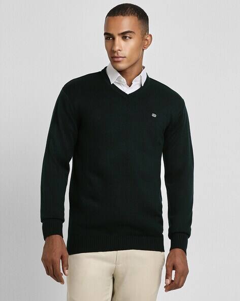 Men Regular Fit V-Neck Sweater