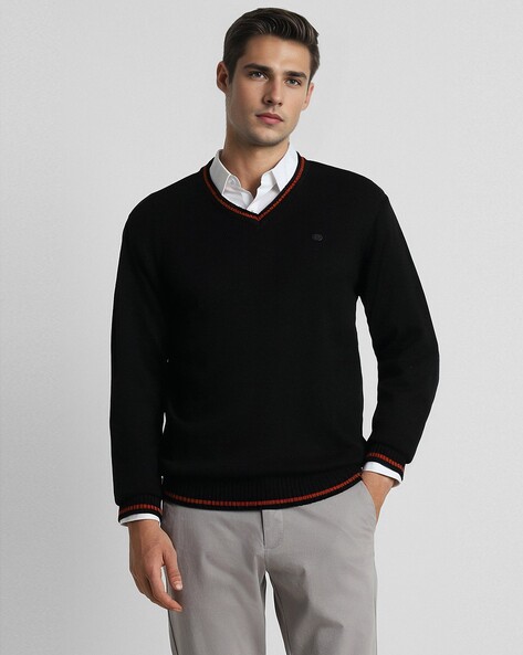 Men Regular Fit V-Neck Sweater