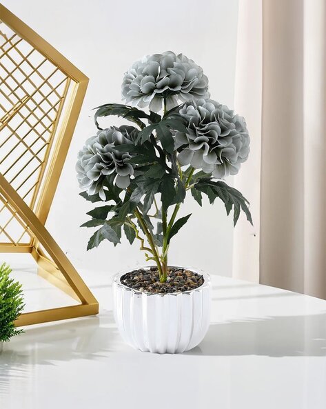 Buy Grey Gardening Planters for Home Kitchen by The Better Home Online Ajio