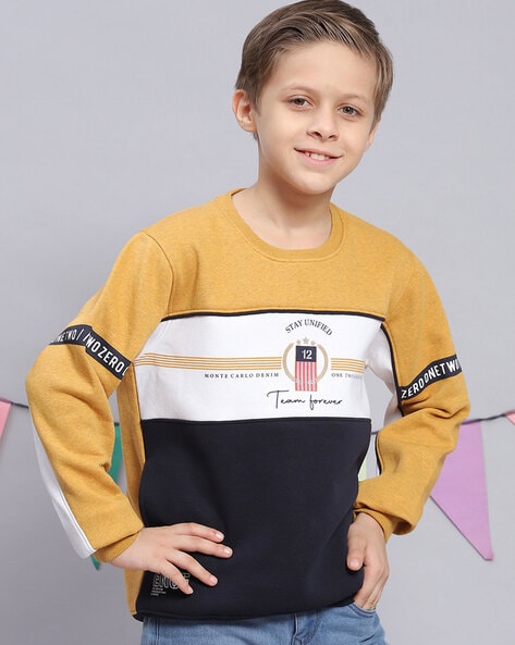 Boys Colourblock Regular Fit Sweatshirt