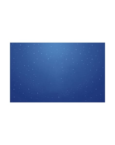 Largest contentful element