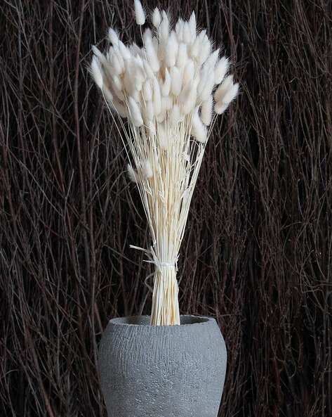 HOMESAKE Bunny Tails Dried Flower Dried Pampas Bouquet