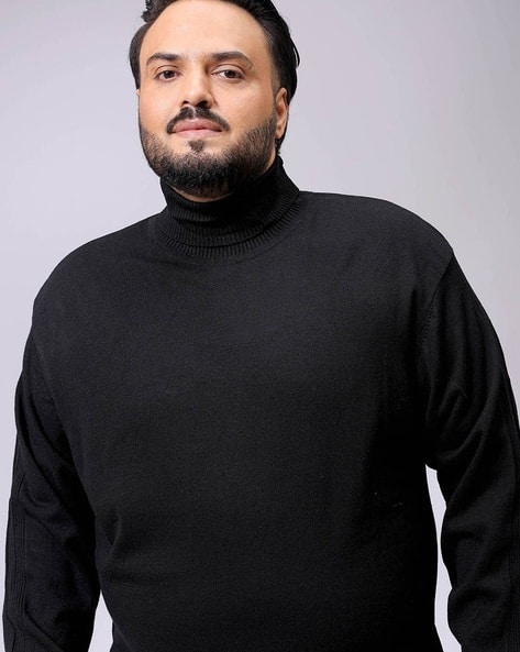 Men Regular Fit Turtleneck Pullover