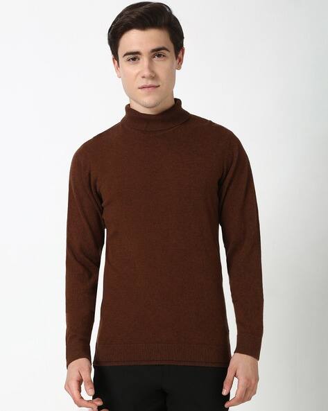 PETER ENGLAND Men Regular Fit Turtle Neck Sweater