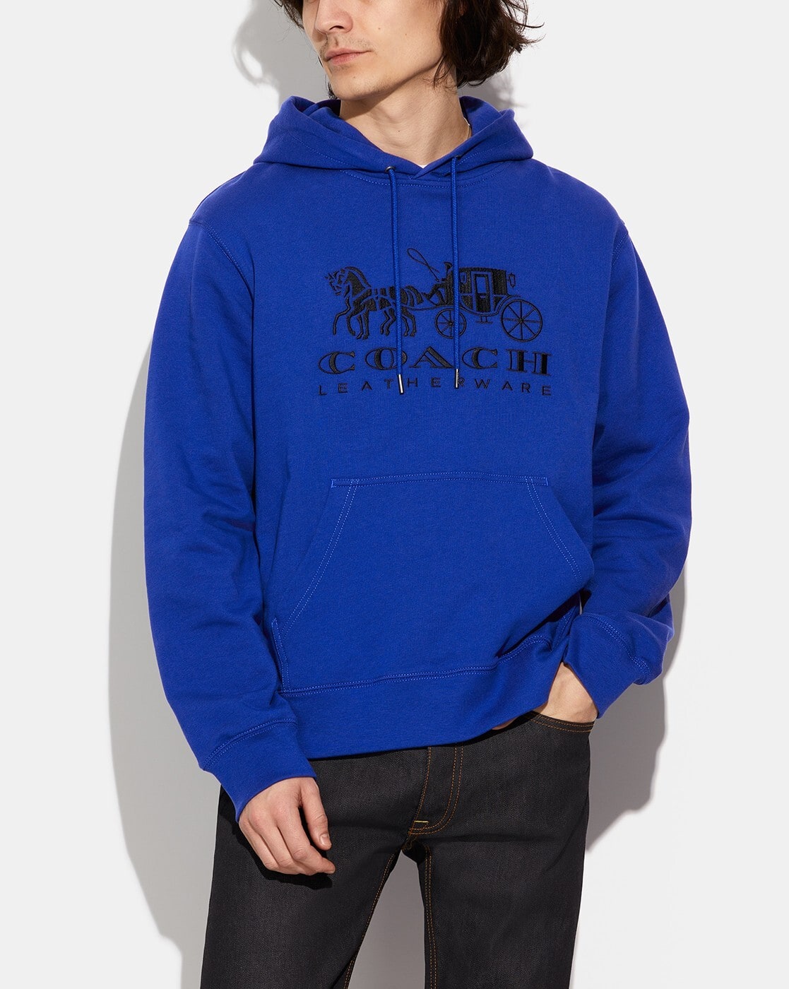 Buy Coach Evergreen Horse & Carriage Hoodie | Blue Color Men