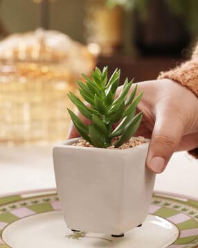 pure home and living Potted Artificial Cactus - Medium-picture-41