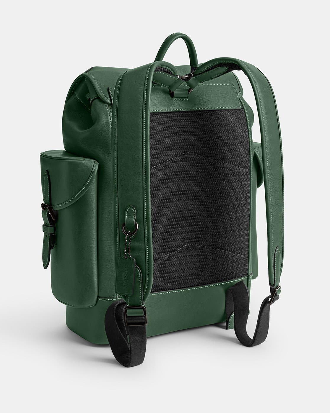 バッグ CTHY Smooth / Shrink Leather BackPack 13