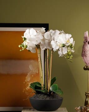 pure home and living Artificial Orchid in Paper Mache Pot - Large-picture-18