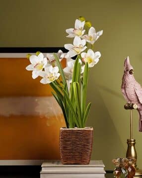 pure home and living Ivory Artificial Cymbidium in Rattan Pot-picture-1