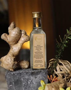 vanmay sutras Women Ginger ark Body Care Syrup-picture-18