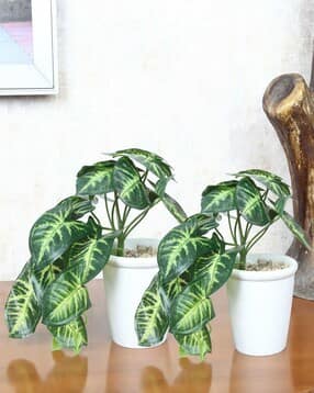 foliyaj Set of 2 Artificial Plants with Pots-picture-10