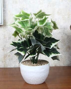 foliyaj Artificial Plant with Pot-picture-36